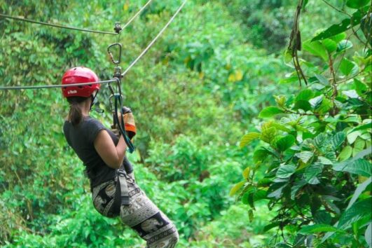 Tour por un Día Naturaleza y Aventura en Mindo