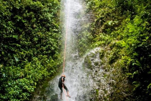 Tour por un Día Aventura en Mindo